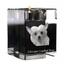 Chinese Crested Dog, Puff - Candle holder with dog photo, crystal tealight holder, personalised gift by Art-Dog brand