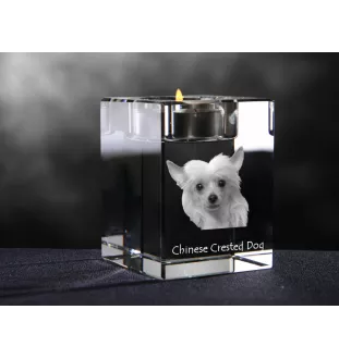 Chien chinois à crête, chien nu chinois - Bougeoir avec photo de chien, porte bougie en cristal, cadeau personnalisé par la marque Art-Dog