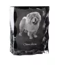 Chow Chow - Kristall mit einem Hundebild, Glasstatuette mit einem Bild, einzigartiger Bilderrahmen der Marke Art-Dog