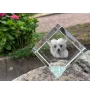 Chien chinois à crête, chien nu chinois - un cube de cristal avec une photo, une photo de cheval dans le cristal, un presse-papiers cubique de la marque Art-Dog