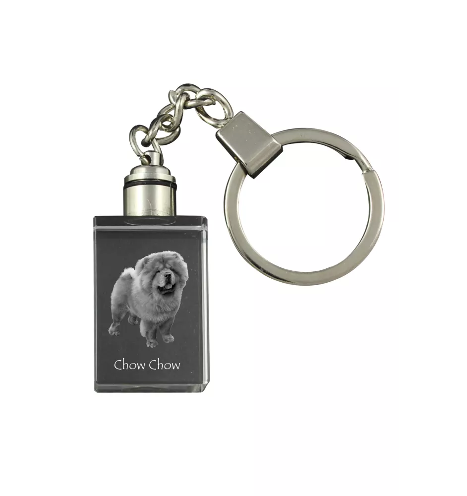 Chow Chow, Chowchow - Porte-clés en cristal avec photo de chien, porte-clés lumineux, cadeau unique de la marque Art-Dog