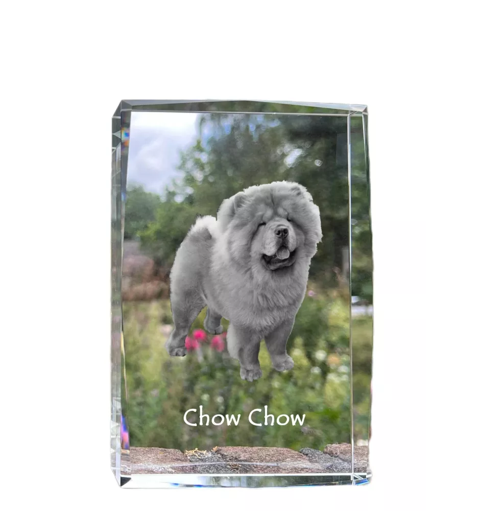 Chow Chow - Kristall mit einem Hundebild, Bild im Glas, moderne Ausstellung des Art-Dog-Bildes.