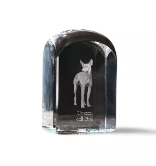 Cirneco dell'Etna - crystal cube with a photo, photo of a dog in crystal, cubic paperweight from Art-Dog brand