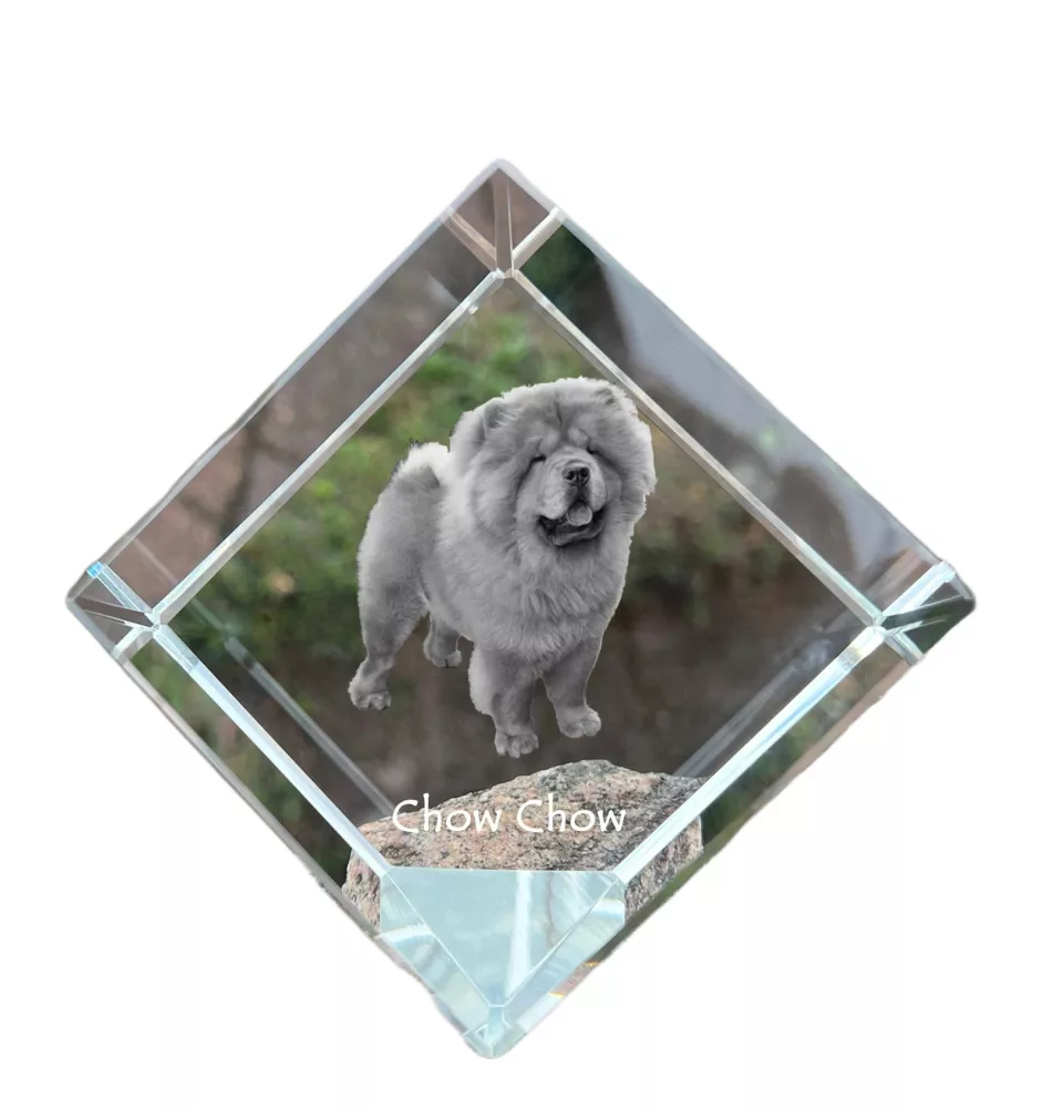 Chow Chow - crystal cube with a photo, photo of a horse in crystal, cubic paperweight from Art-Dog brand