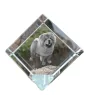 Chow Chow - crystal cube with a photo, photo of a horse in crystal, cubic paperweight from Art-Dog brand