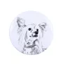 Chien chinois à crête, chien nu chinois - aimant avec un œil de chien, exceptionnellement léger, aimant puissant, produit fabriqué à la main par la marque Art-Dog