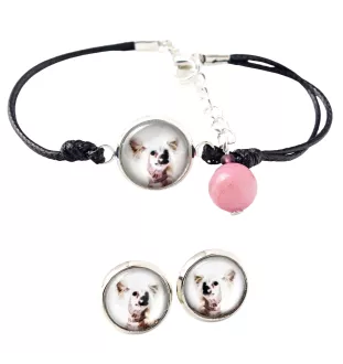 Chinesischer Schopfhund - Schmuckset mit Ihrem Foto, Schmuckstück für Frauen, handgefertigtes Produkt, handgefertigtes Produkt mit Leidenschaft für die Marke Art-Dog.