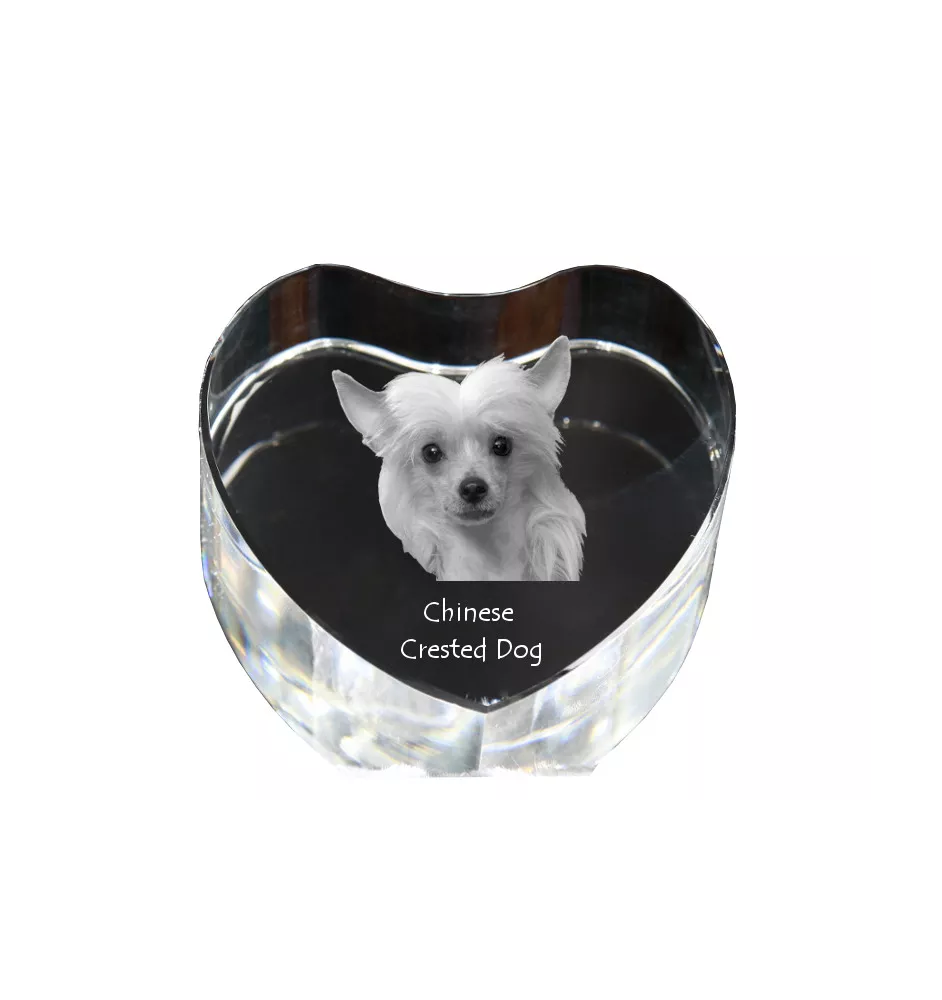 Chien chinois à crête, chien nu chinois - une photo de chien dans un cristal, un cœur en cristal, un cadre photo exceptionnel de la marque Art-Dog