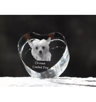 Chien chinois à crête, chien nu chinois - une photo de chien dans un cristal, un cœur en cristal, un cadre photo exceptionnel de la marque Art-Dog