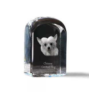 Chinese Crested Dog, Puff - crystal cube with a photo, photo of a dog in crystal, cubic paperweight from Art-Dog brand
