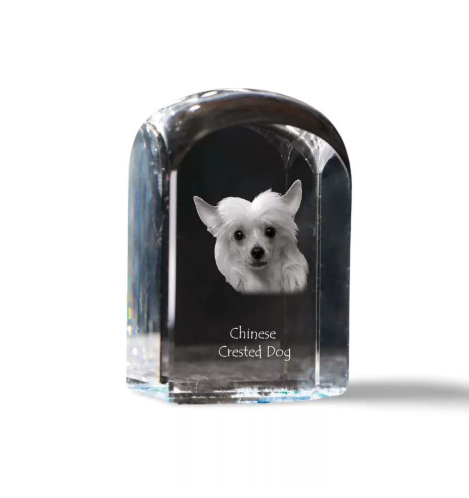 Chinesischer Schopfhund - Kristallwürfel mit Bild, Hundebild im Kristall, sechseckiger Papierclip von Art-Dog.