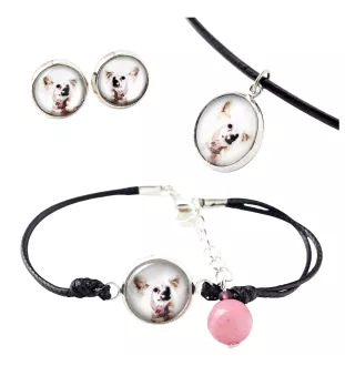 Chinesischer Schopfhund - Schmuckset in einer Schachtel, Halskette, Ohrringe, Armband, Produkte der Marke Art-Dog