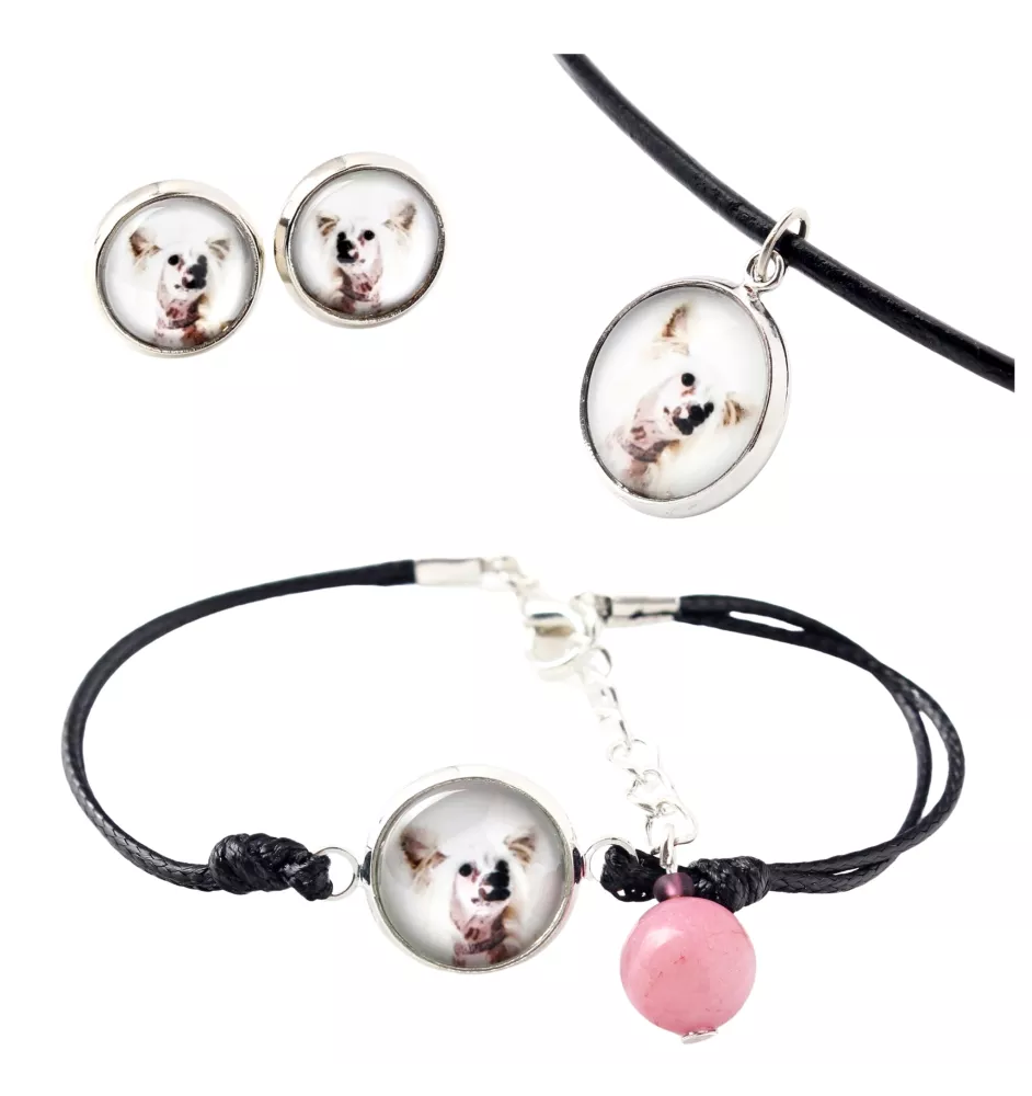 Chinese Crested Dog, Puff - a set of jewelry in a box, necklace, earrings, bracelet, products from the Art-Dog brand