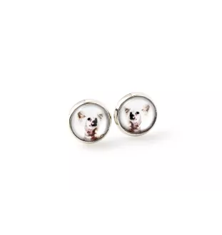 Chien chinois à crête, chien nu chinois - ensemble de bijoux dans une boîte, collier, boucles d'oreilles, bracelet, produits de la marque Art-Dog