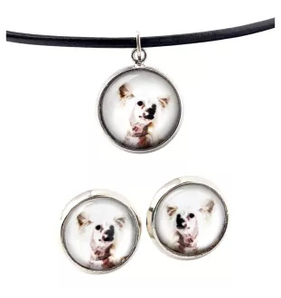 Chien chinois à crête, chien nu chinois - boîte à bijoux avec votre photo, ensemble collier et boucles d'oreilles, produits personnalisés de la marque Art-Dog