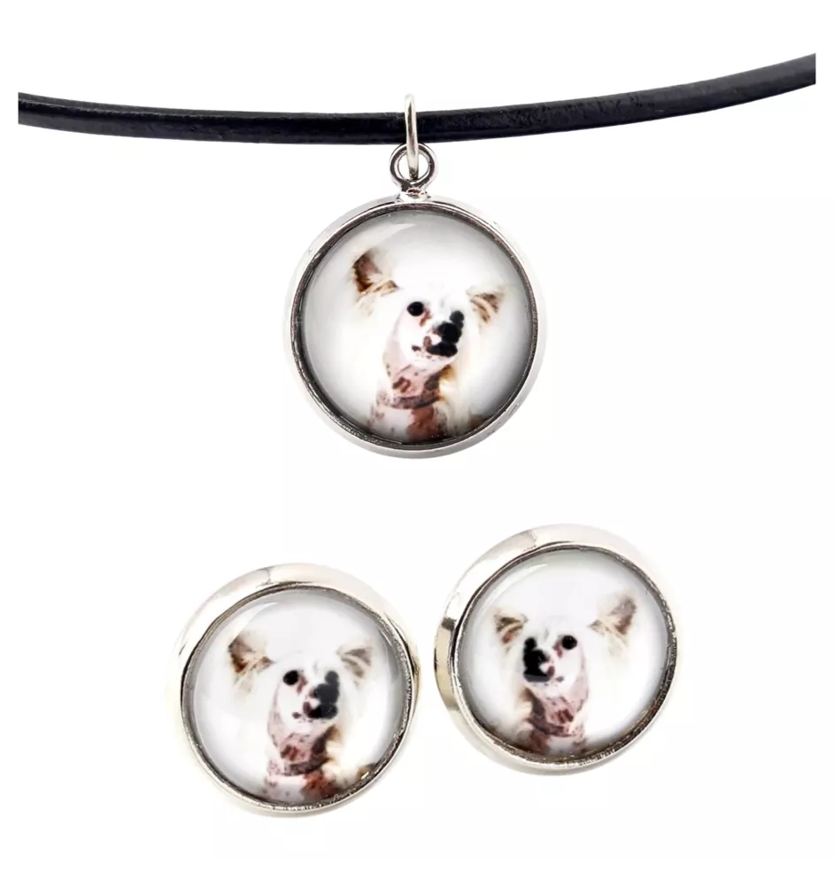Chien chinois à crête, chien nu chinois - boîte à bijoux avec votre photo, ensemble collier et boucles d'oreilles, produits personnalisés de la marque Art-Dog
