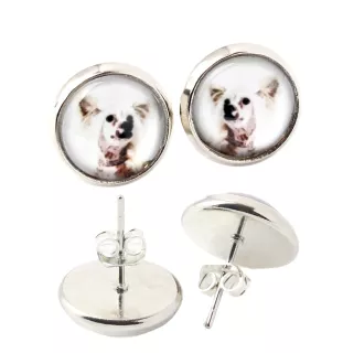 Chien chinois à crête, chien nu chinois - boucles d'oreilles dans une boîte, votre photo, bijoux faits à la main, produit de la marque Art-Dog.