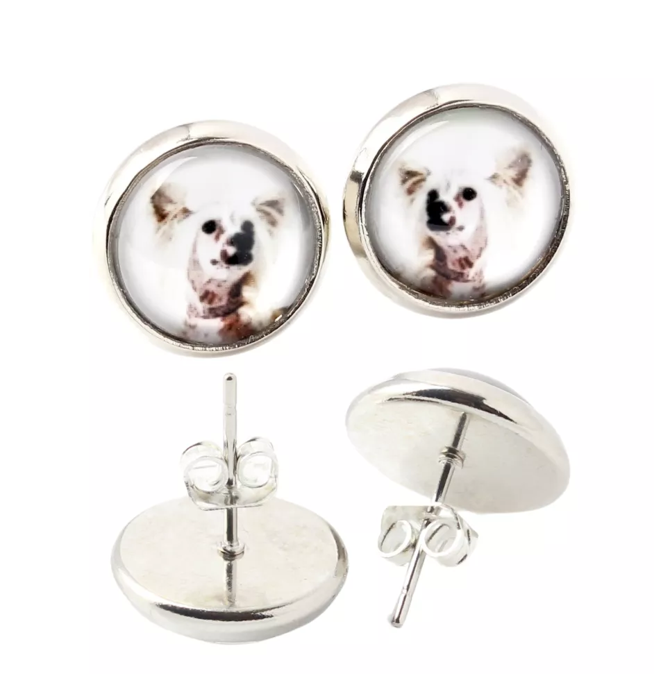 Chien chinois à crête, chien nu chinois - boucles d'oreilles dans une boîte, votre photo, bijoux faits à la main, produit de la marque Art-Dog.