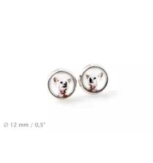 Chinesischer Schopfhund - Ohrringe in einer Schachtel, Ihr Foto, handgefertigter Schmuck, Eigenmarke von Art-Dog.