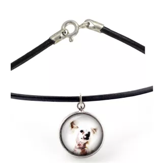 Chien chinois à crête, chien nu chinois - collier dans une boîte, élégant bijou, pendentif de la marque Art-Dog