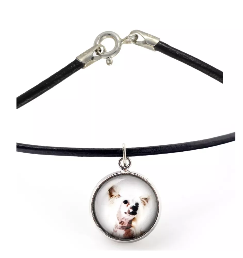 Chien chinois à crête, chien nu chinois - collier dans une boîte, élégant bijou, pendentif de la marque Art-Dog