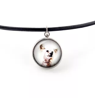Chinesischer Schopfhund - Halskette in einer Schachtel, elegante Verzierung, Anhänger der Marke Art-Dog