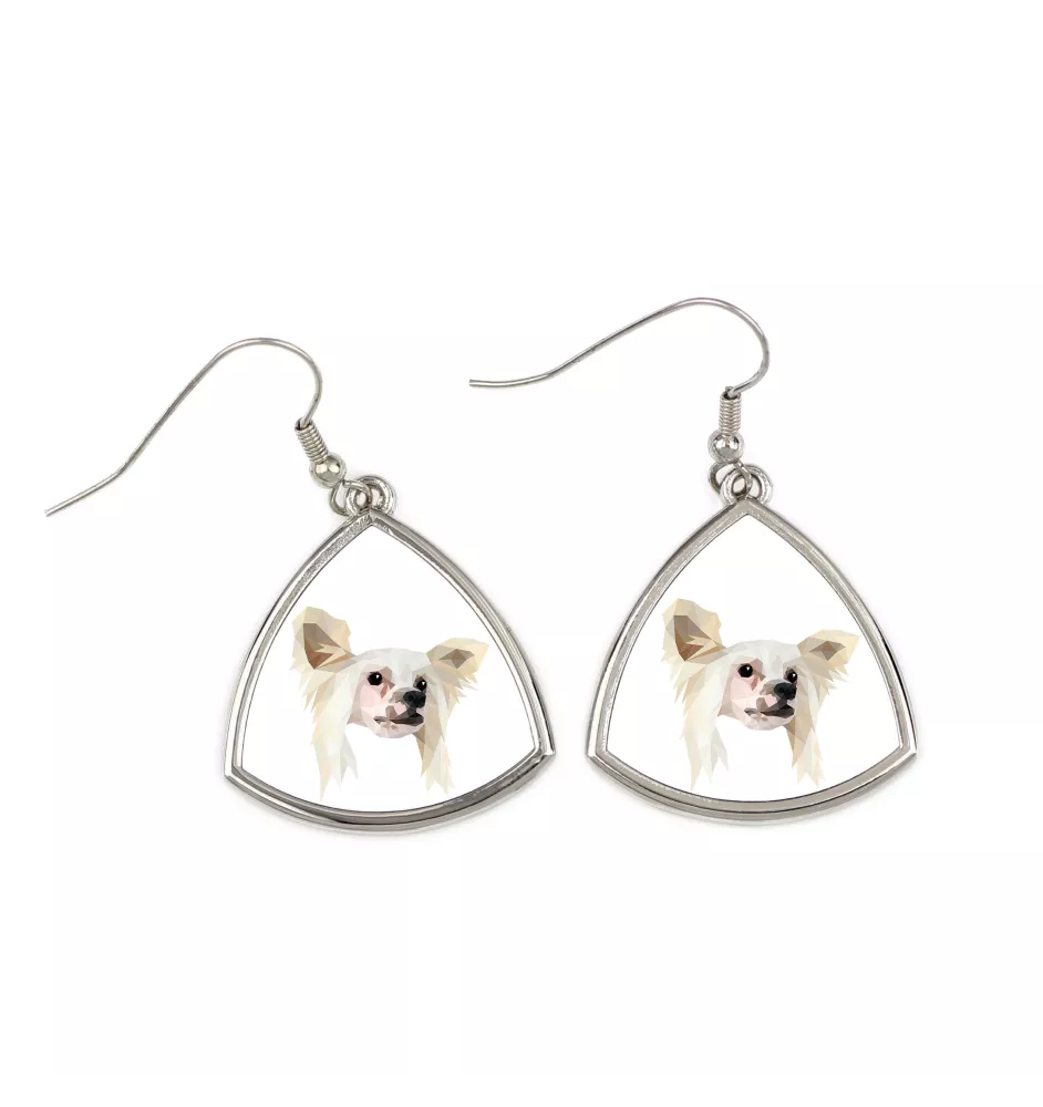 Chien chinois à crête, chien nu chinois - boucles d'oreilles avec une photo et un motif de chien géométrique Art-Dog
