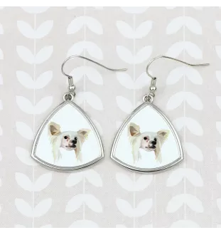 Chinesischer Schopfhund - Ohrringe mit einem Bild und dem Schriftzug "Geometrischer Hund" von Art-Dog