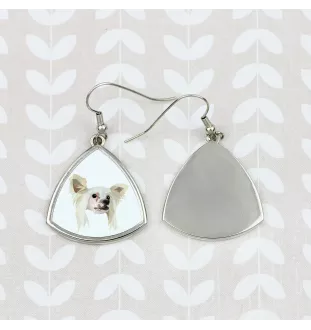 Chinesischer Schopfhund - Ohrringe mit einem Bild und dem Schriftzug "Geometrischer Hund" von Art-Dog