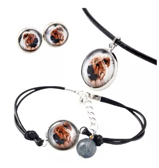 Chow Chow - a set of jewelry in a box, necklace, earrings, bracelet, products from the Art-Dog brand