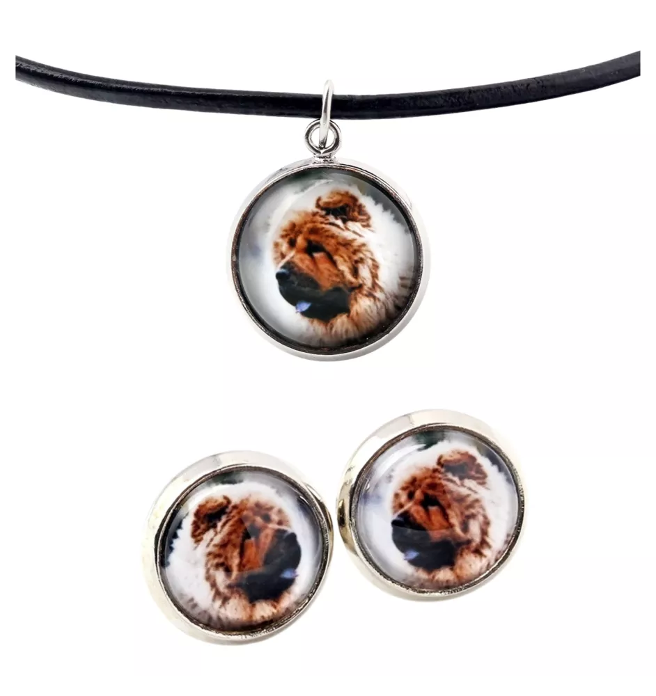Chow Chow - Schmuck mit Ihrem Foto-Box, Halskette und Ohrringe-Set, personalisierte Produkte der Marke Art-Dog.