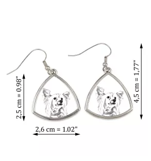 Chien chinois à crête, chien nu chinois - boucles d'oreilles avec chien, boucles d'oreilles pendantes avec photo, bijoux personnalisés avec impression de la marque Art-Dog