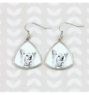 Chien chinois à crête, chien nu chinois - boucles d'oreilles avec chien, boucles d'oreilles pendantes avec photo, bijoux personnalisés avec impression de la marque Art-Dog