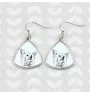 Chinesischer Schopfhund - Hund Ohrringe, hängende Ohrringe mit Bild, personalisierter Schmuck mit dem Aufdruck der Marke Art-Dog