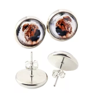 Chow Chow - earrings in a box, your photo, handmade jewelry, a product of the Art-Dog brand