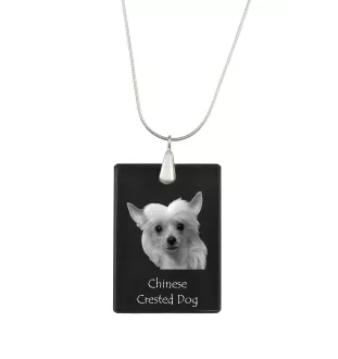 Chinese Crested Dog, Puff - Crystal pendant with dog, silver necklace with photo, personalised pendant by Art-Dog brand
