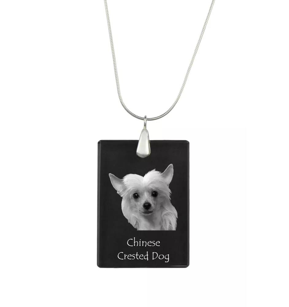 Chinese Crested Dog, Puff - Crystal pendant with dog, silver necklace with photo, personalised pendant by Art-Dog brand