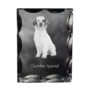 Clumber Spaniel - crystal with a picture of a dog, glass statuette with a picture, unique frame with a picture from Art-Dog brand