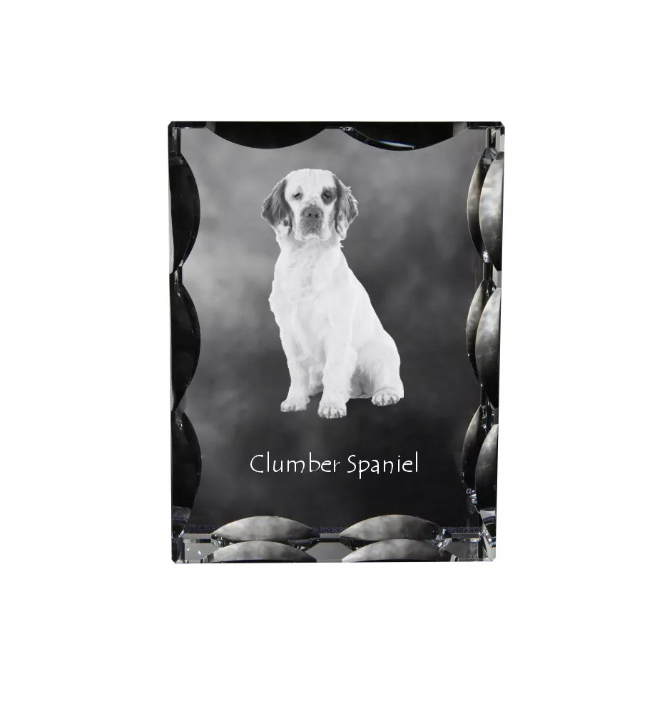 Clumber Spaniel - Kristall mit einem Hundebild, Glasstatuette mit einem Bild, einzigartiger Bilderrahmen der Marke Art-Dog