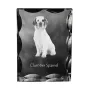 Clumber Spaniel - cristal avec photo de chien, statuette en verre avec photo, cadre exceptionnel avec photo de la marque Art-Dog