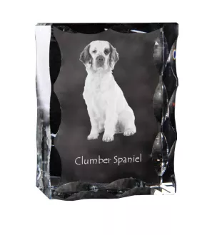 Clumber Spaniel - Kristall mit einem Hundebild, Glasstatuette mit einem Bild, einzigartiger Bilderrahmen der Marke Art-Dog