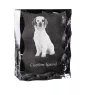 Clumber Spaniel - crystal with a picture of a dog, glass statuette with a picture, unique frame with a picture from Art-Dog brand