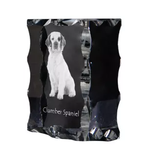 Clumber Spaniel - Kristall mit einem Hundebild, Glasstatuette mit einem Bild, einzigartiger Bilderrahmen der Marke Art-Dog