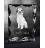 Clumber Spaniel - crystal with a picture of a dog, glass statuette with a picture, unique frame with a picture from Art-Dog brand