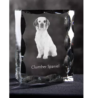 Clumber Spaniel - crystal with a picture of a dog, glass statuette with a picture, unique frame with a picture from Art-Dog brand