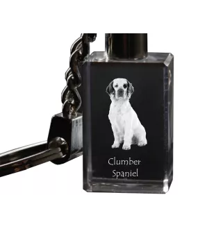 Clumber Spaniel - Schlüsselanhänger aus Kristall mit Hundefoto, beleuchteter Schlüsselanhänger, einzigartiges Geschenk der Marke Art-Dog