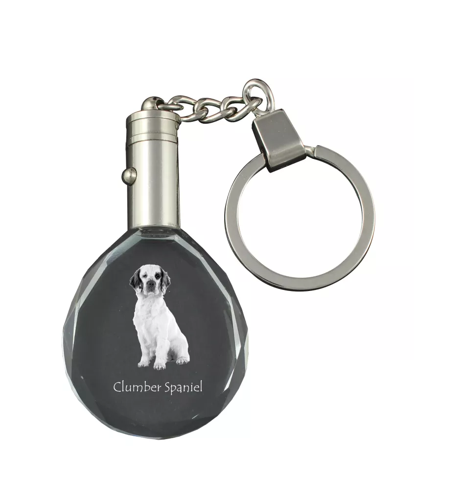 Clumber Spaniel - pendant with a photo of a dog, crystal key ring in a gift box, a unique gift by Art-Dog