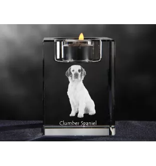 Clumber Spaniel świecznik kryształowy z psem Art-Dog