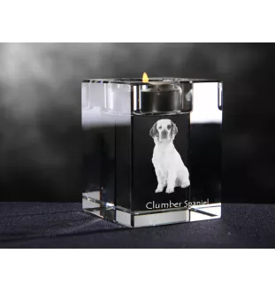 Clumber Spaniel świecznik kryształowy z psem Art-Dog