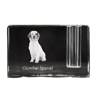 Clumber Spaniel - Stifthalter, Kristallorganizer mit Hundefoto, einzigartige Schreibtischdekoration der Marke Art-Dog